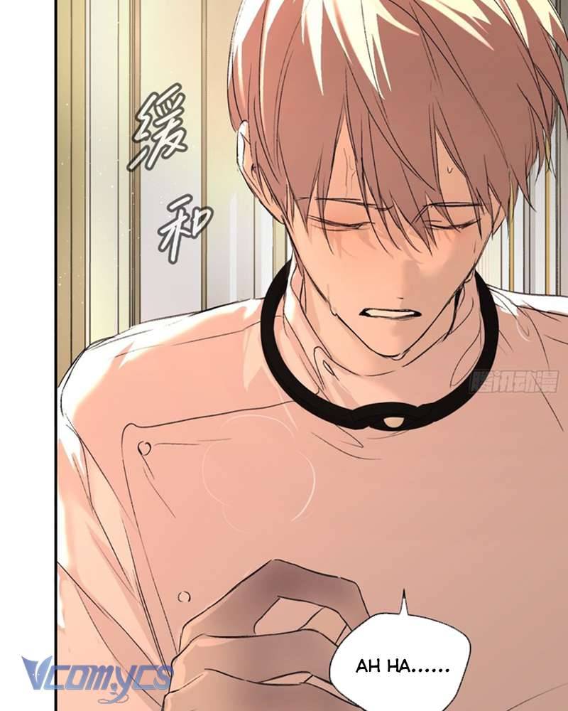 Ác Chi Hoàn Chapter 53 - Trang 121