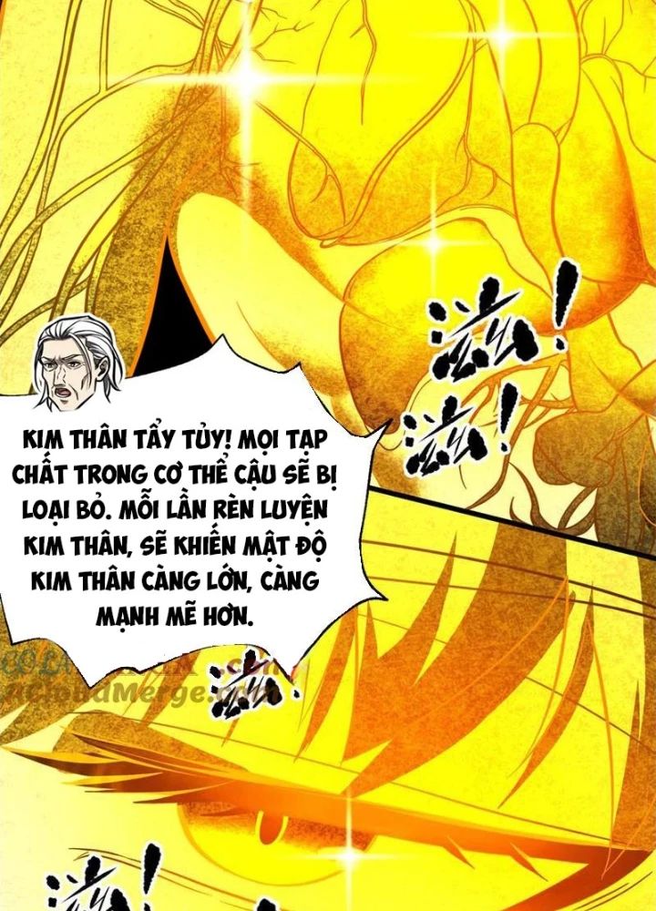 Toàn Cầu Cao Võ Chapter 310 - Trang 15