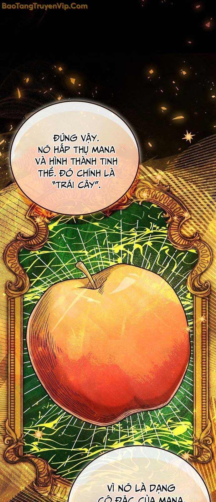 Thiên Tài Phép Thuật Nắm Giữ Khái Niệm chapter 8 - Trang 26