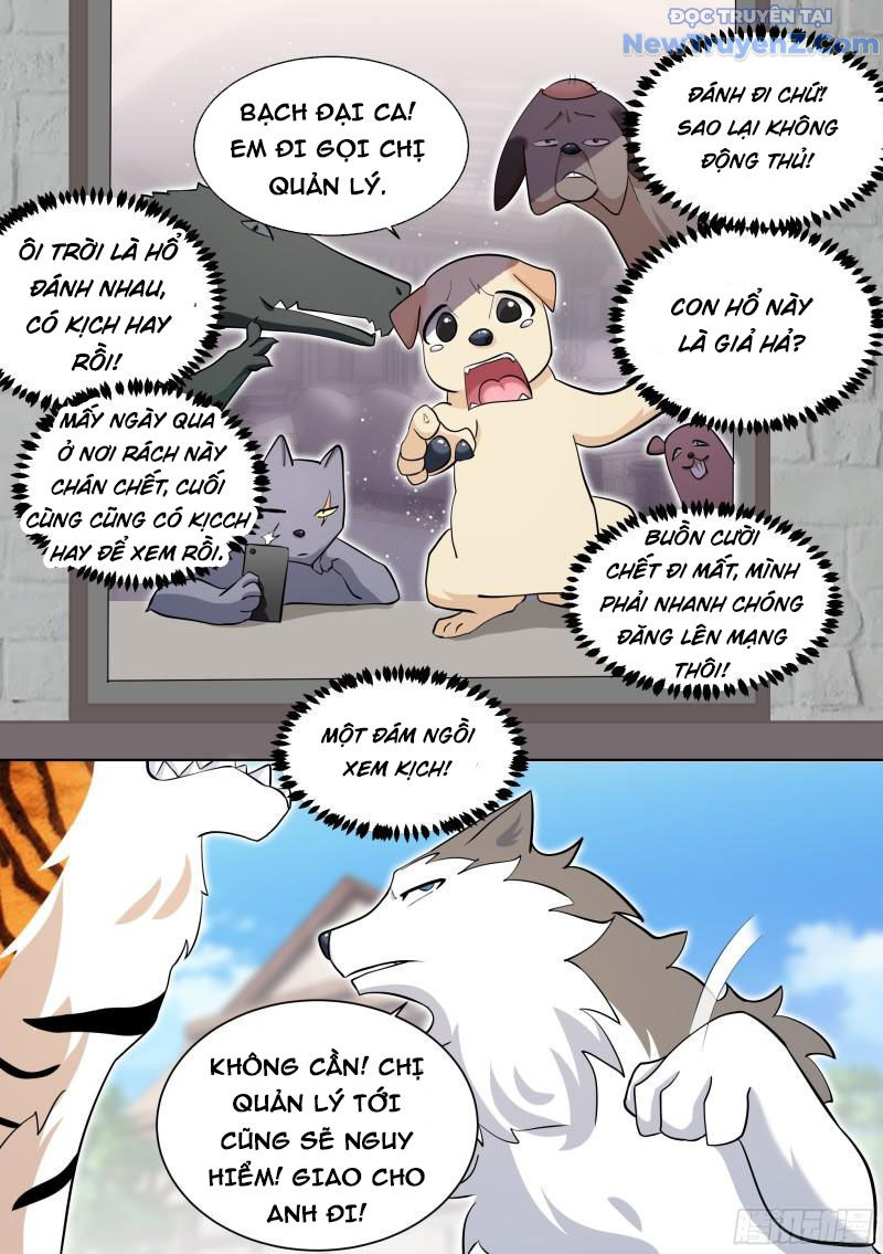 Trọng Sinh Thành Chó Của Nữ Thần chapter 157 - Trang 14