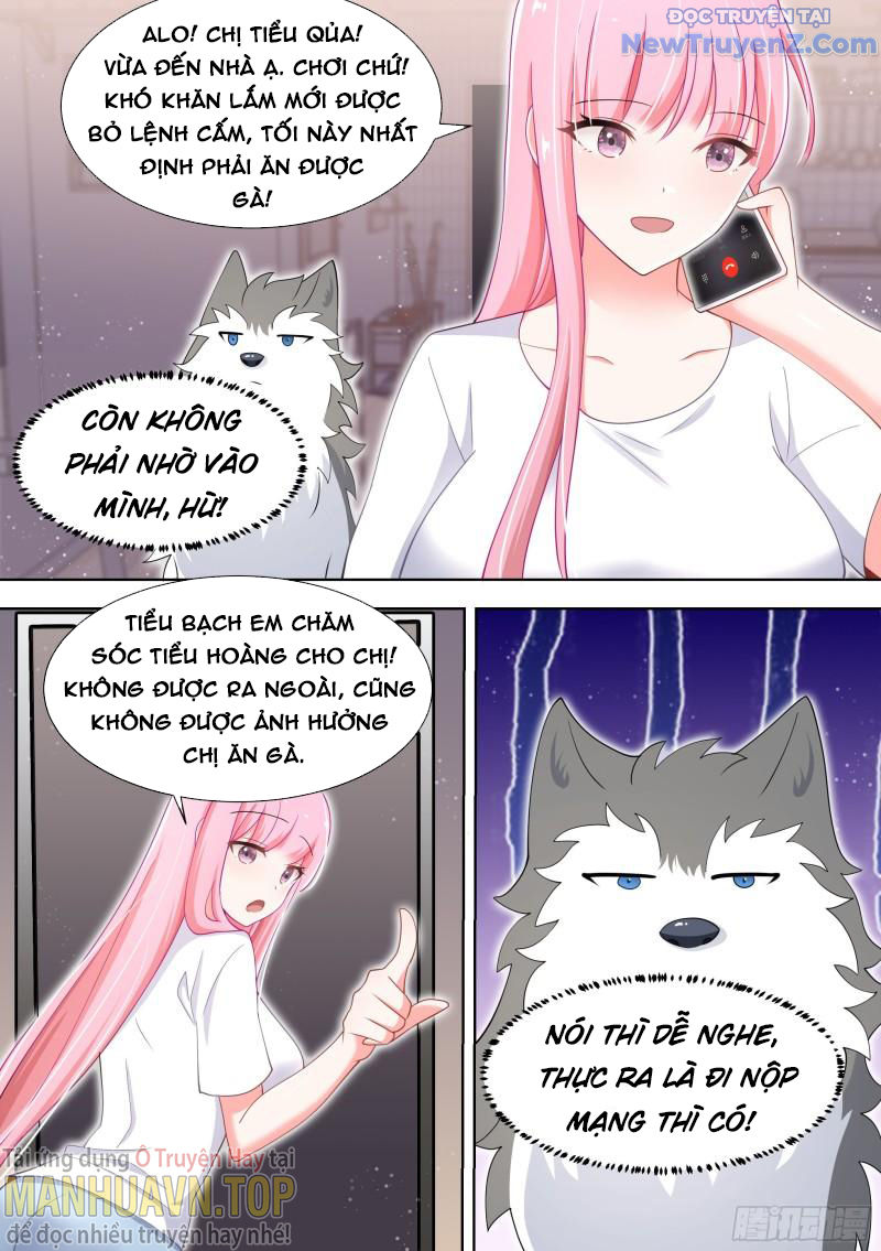 Trọng Sinh Thành Chó Của Nữ Thần chapter 139 - Trang 9