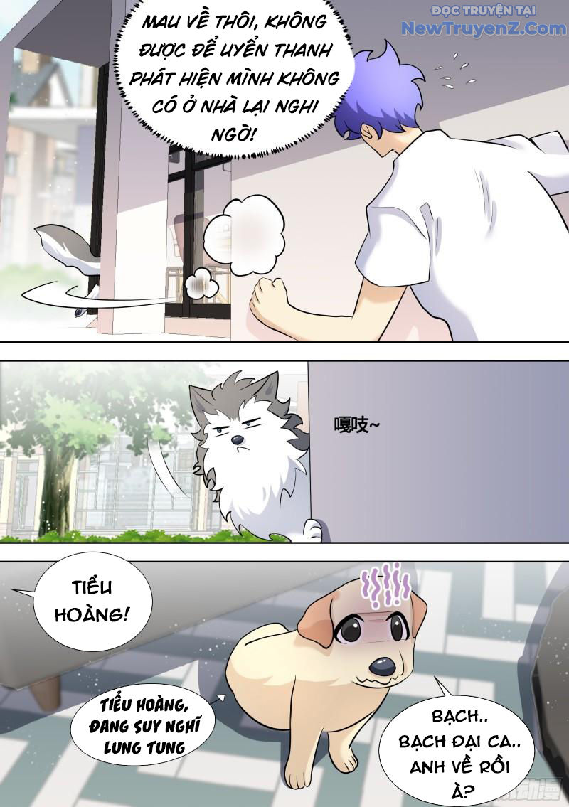 Trọng Sinh Thành Chó Của Nữ Thần chapter 146 - Trang 12