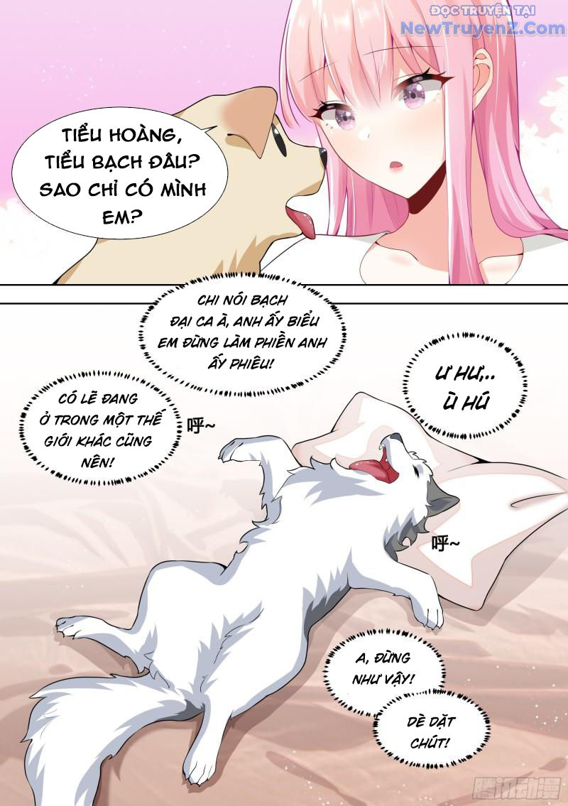 Trọng Sinh Thành Chó Của Nữ Thần chapter 150 - Trang 14