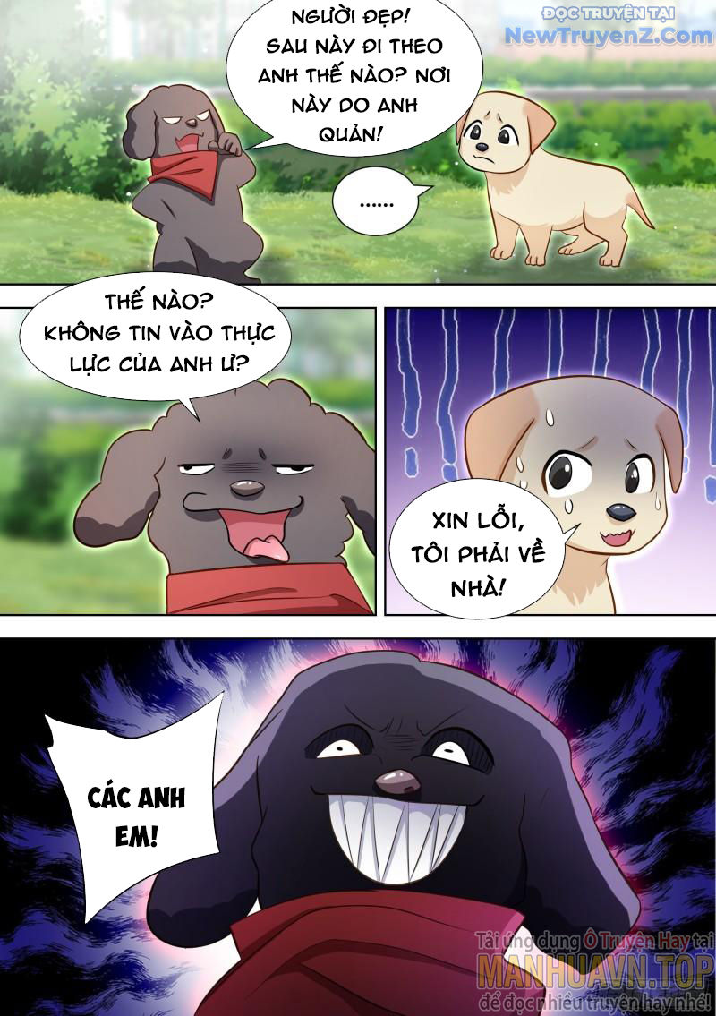 Trọng Sinh Thành Chó Của Nữ Thần chapter 140 - Trang 11