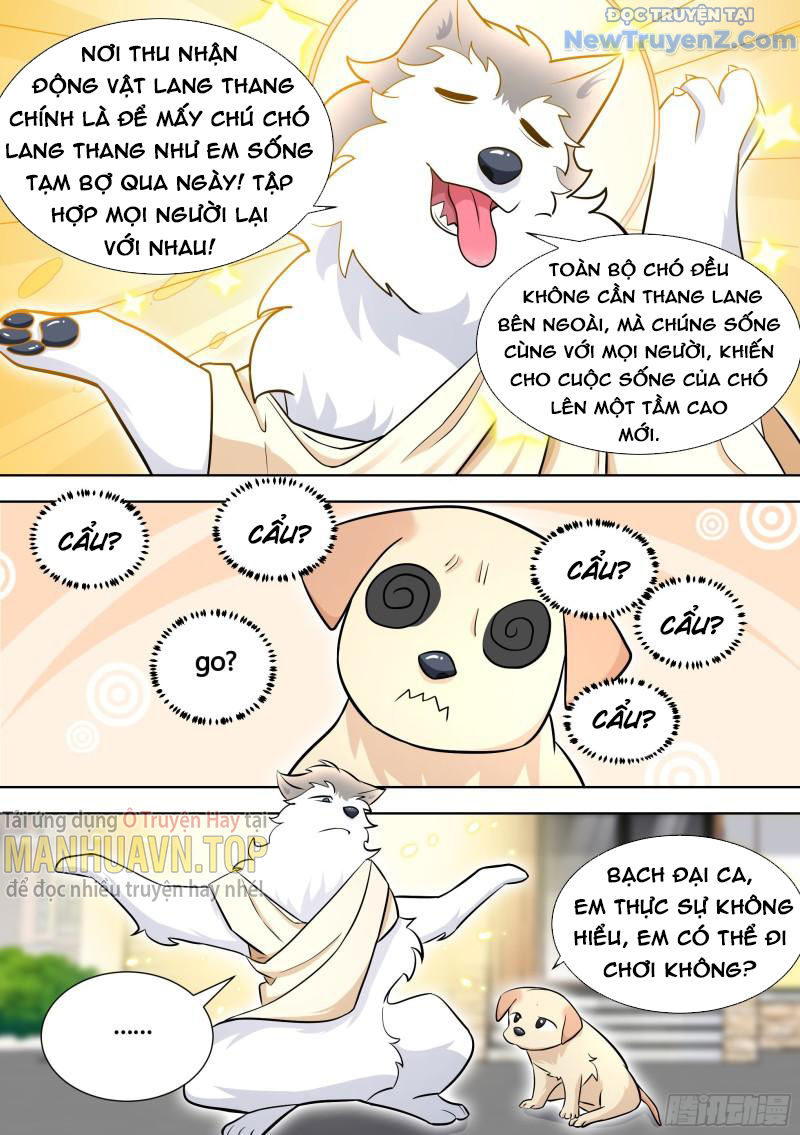 Trọng Sinh Thành Chó Của Nữ Thần chapter 140 - Trang 7