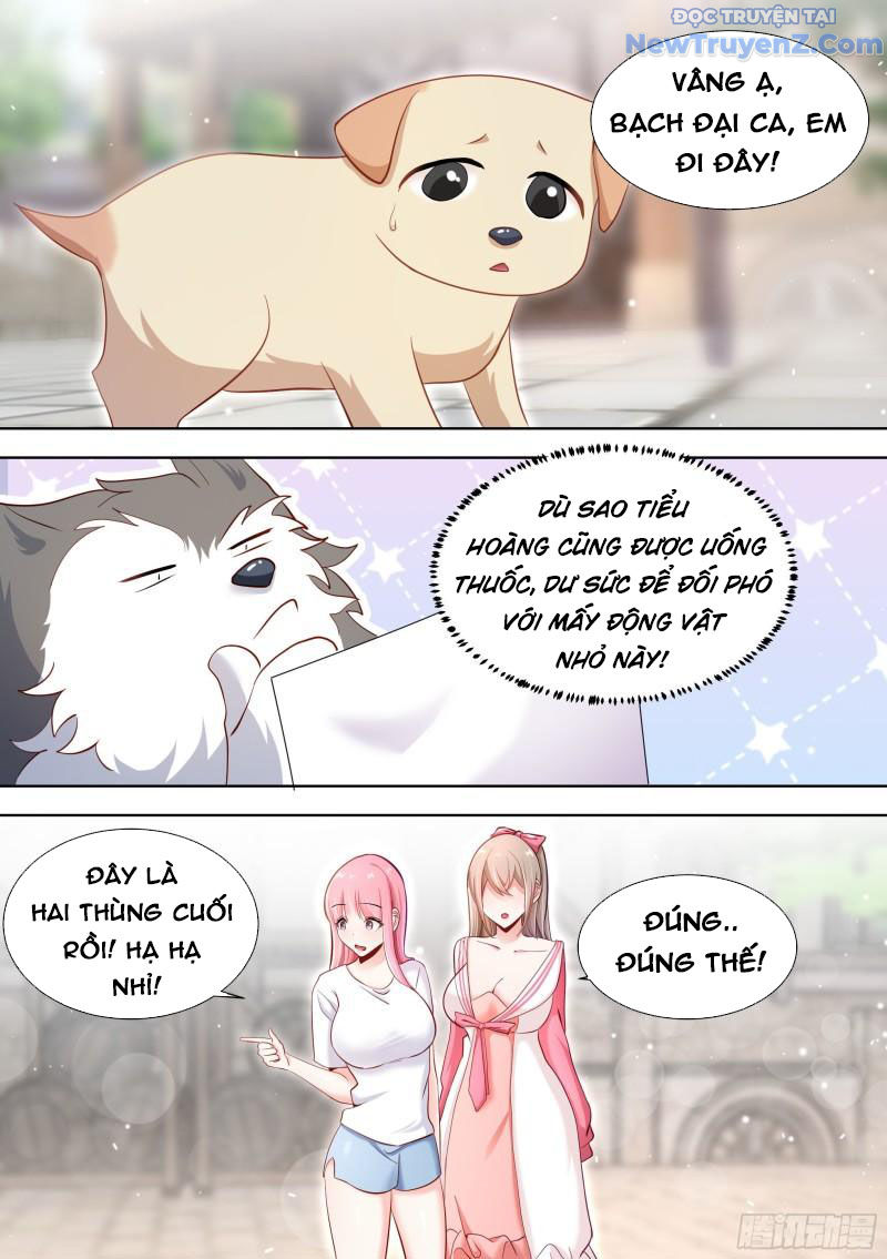 Trọng Sinh Thành Chó Của Nữ Thần chapter 151 - Trang 11