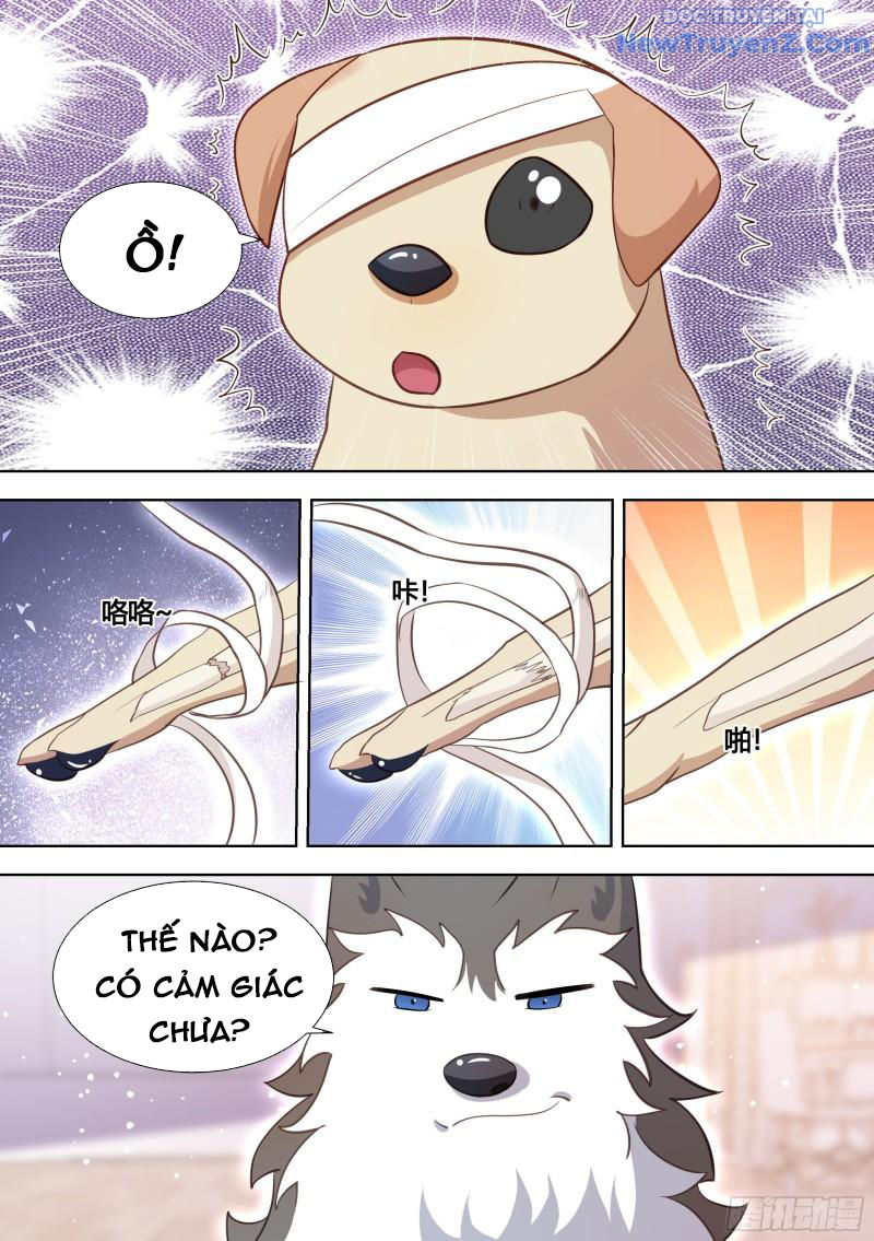 Trọng Sinh Thành Chó Của Nữ Thần chapter 139 - Trang 14