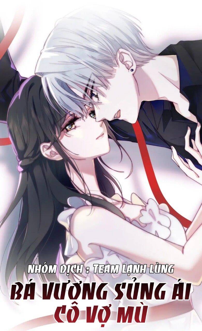 Bá Vương Sủng Ái Cô Vợ Mù Chapter 1 - Trang 0