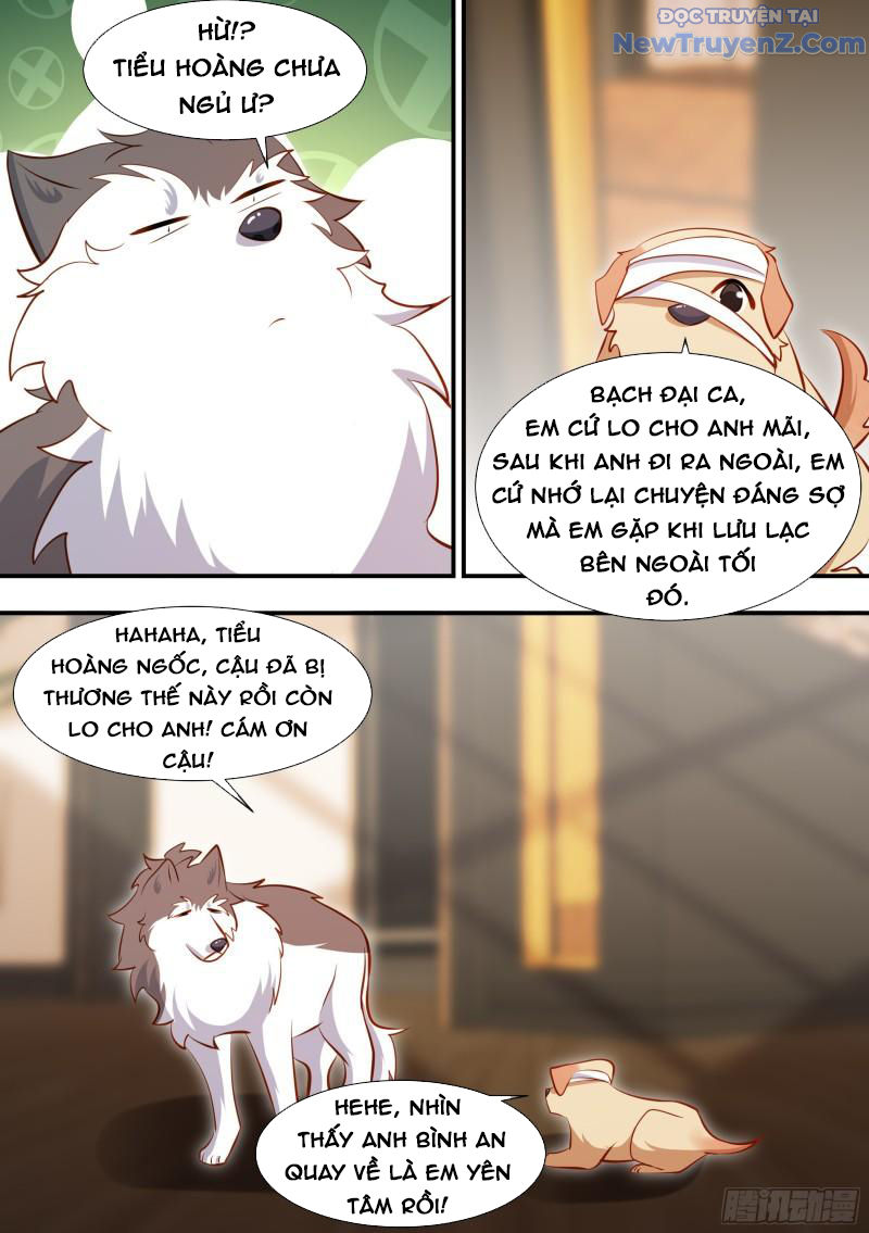 Trọng Sinh Thành Chó Của Nữ Thần chapter 131 - Trang 8