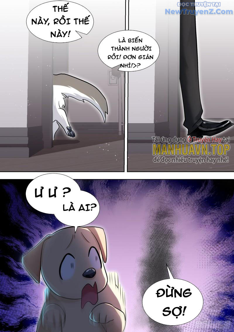 Trọng Sinh Thành Chó Của Nữ Thần chapter 147 - Trang 5