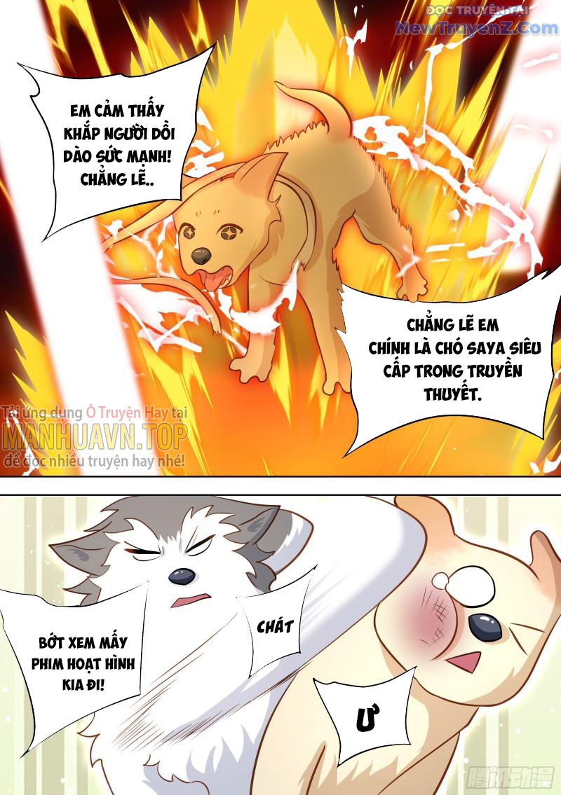 Trọng Sinh Thành Chó Của Nữ Thần chapter 139 - Trang 15