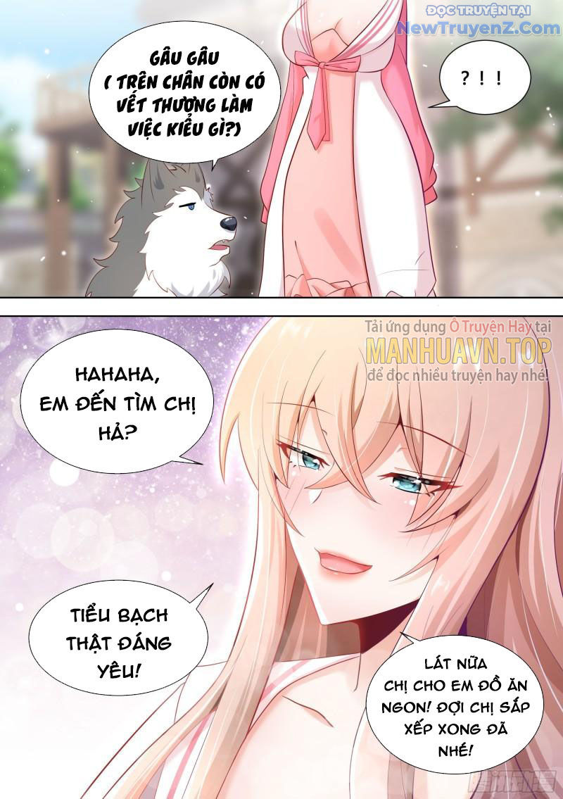 Trọng Sinh Thành Chó Của Nữ Thần chapter 151 - Trang 12