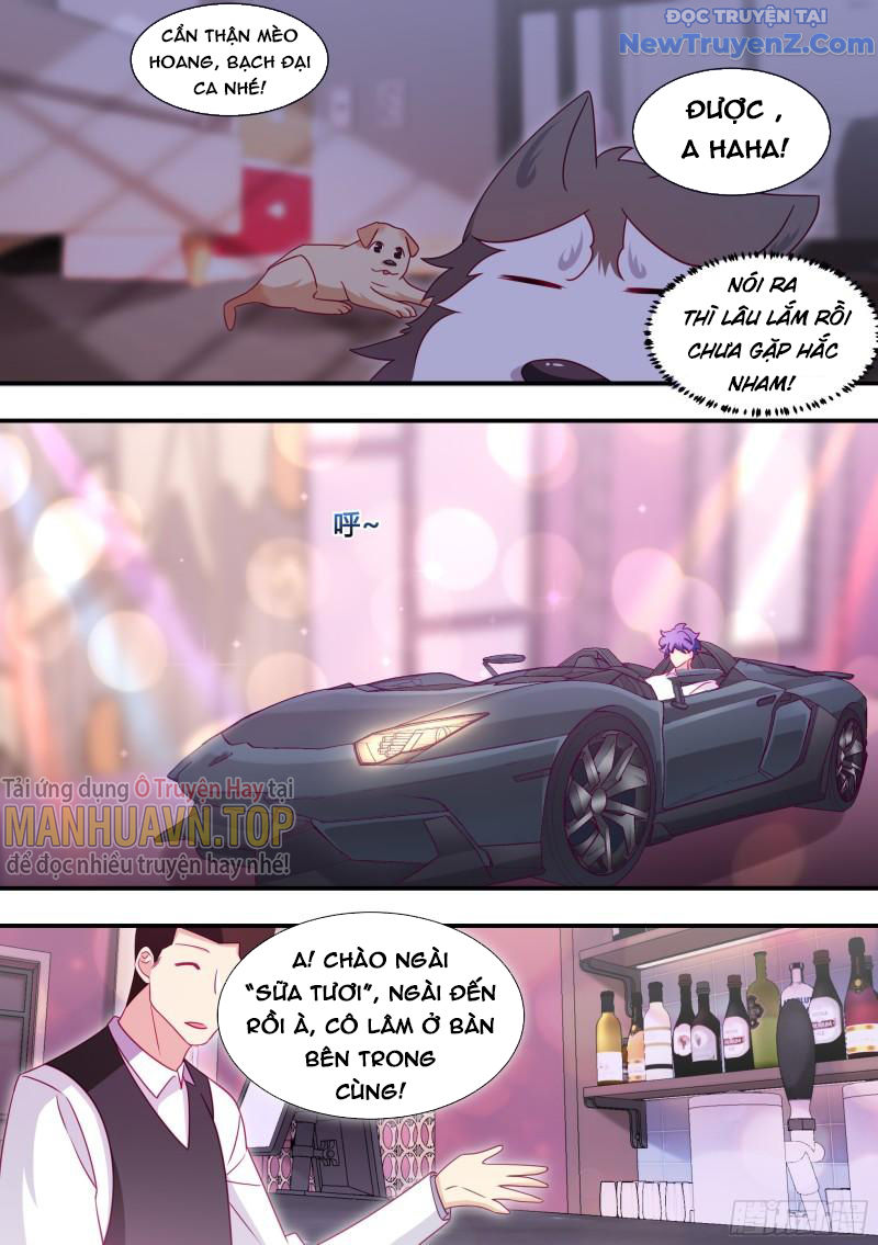 Trọng Sinh Thành Chó Của Nữ Thần chapter 133 - Trang 7