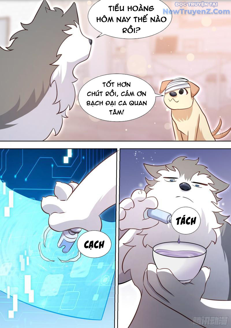 Trọng Sinh Thành Chó Của Nữ Thần chapter 139 - Trang 10