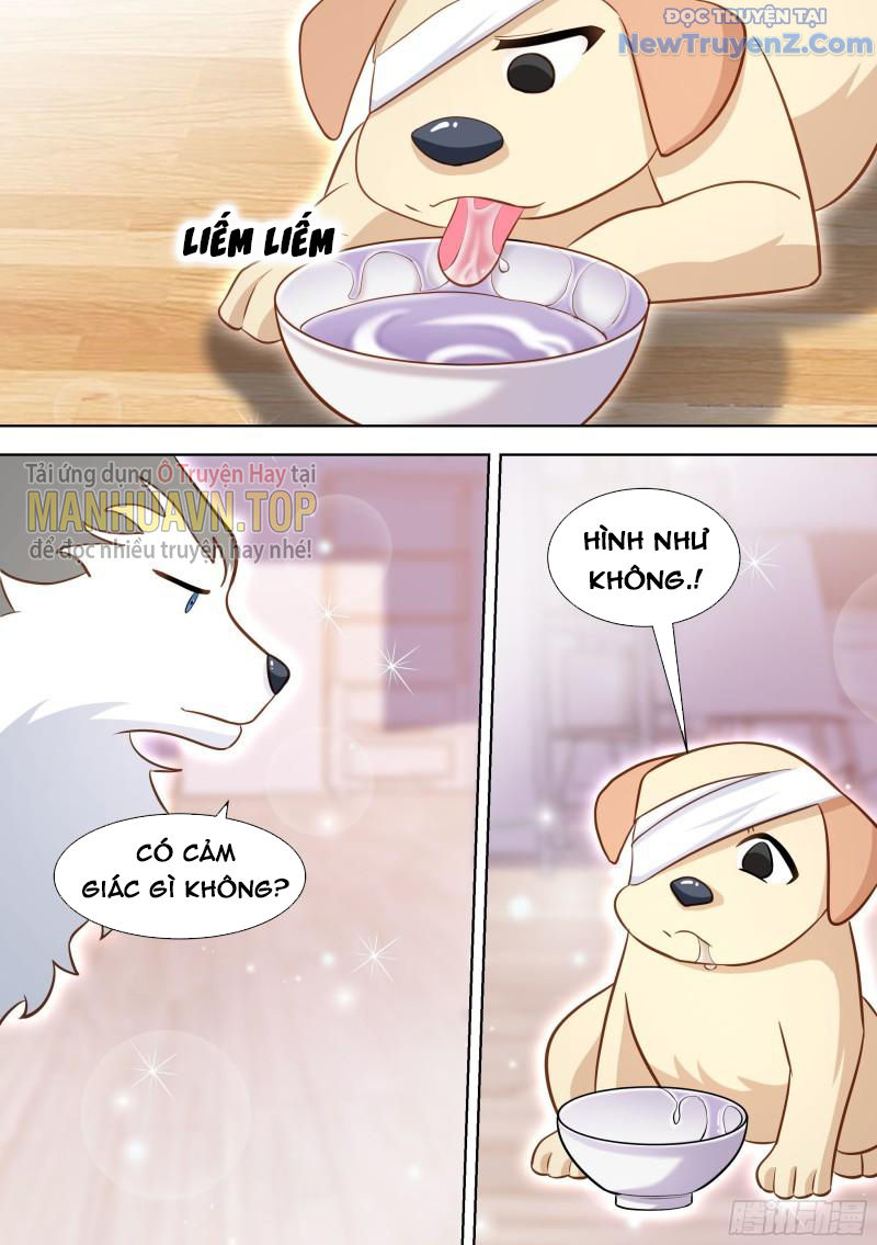 Trọng Sinh Thành Chó Của Nữ Thần chapter 139 - Trang 13