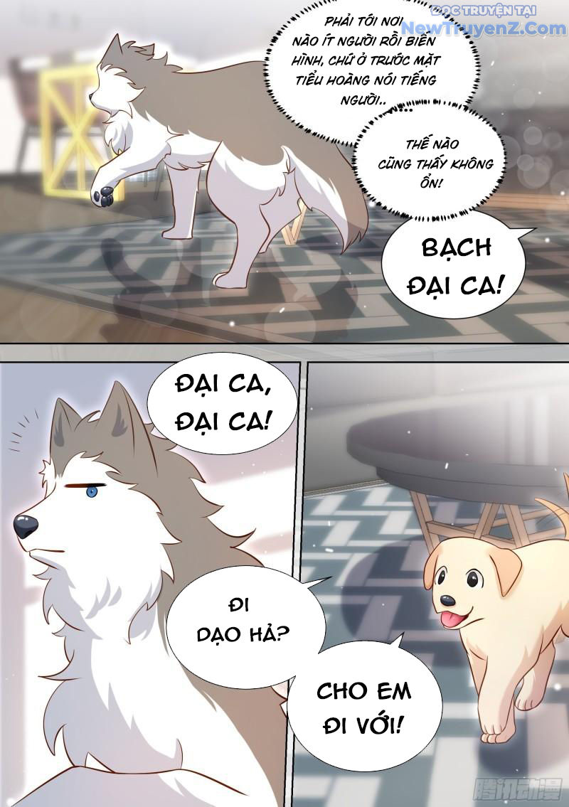Trọng Sinh Thành Chó Của Nữ Thần chapter 146 - Trang 8