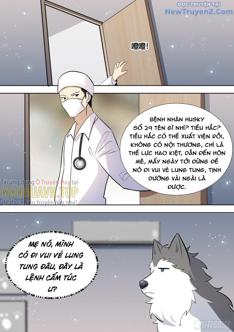 Trọng Sinh Thành Chó Của Nữ Thần chapter 144 - Trang 13