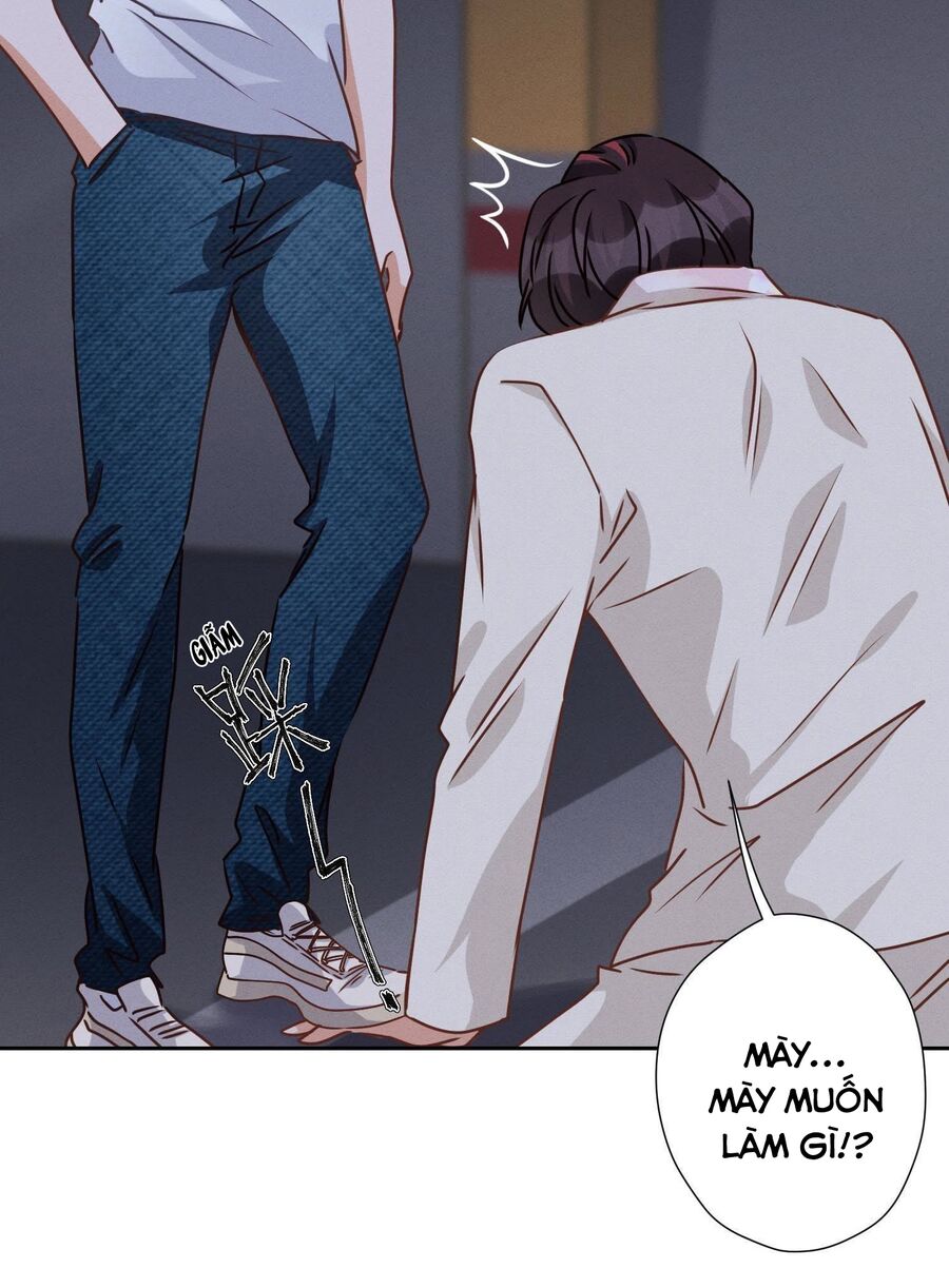 Long Vương Điện: Người Ở Rể Giàu Nhất Chapter 29 - Trang 41