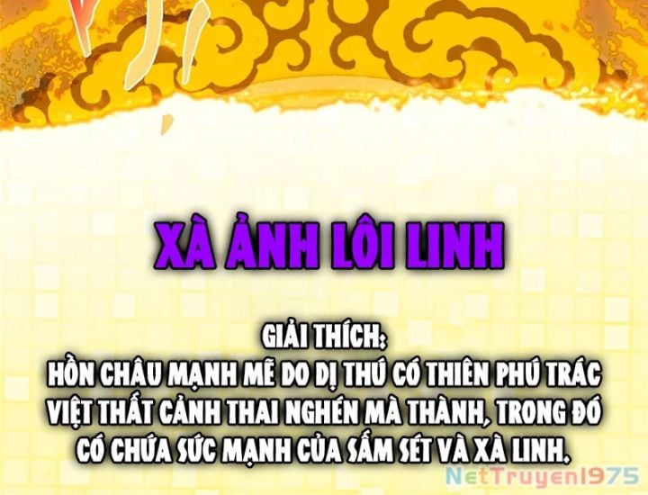 Chưởng Môn Khiêm Tốn Chút Chapter 499 - Trang 4