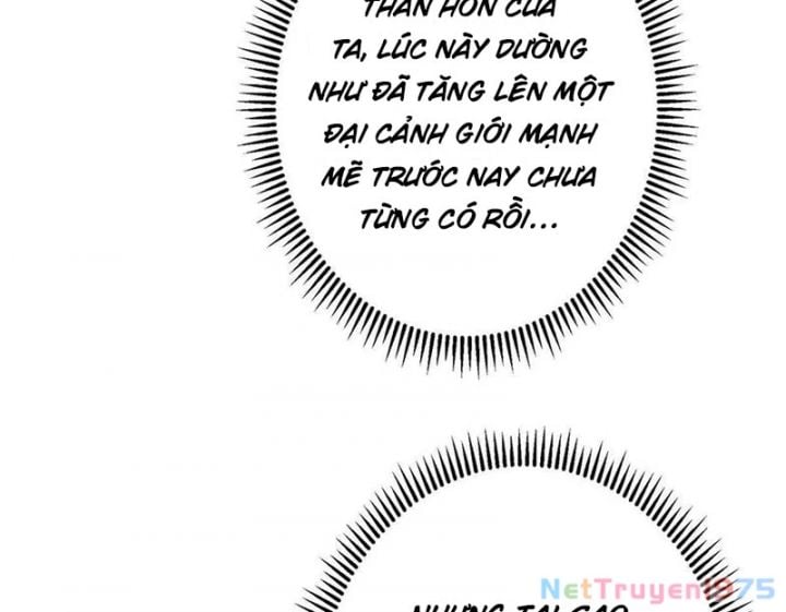 Chưởng Môn Khiêm Tốn Chút Chapter 498 - Trang 164