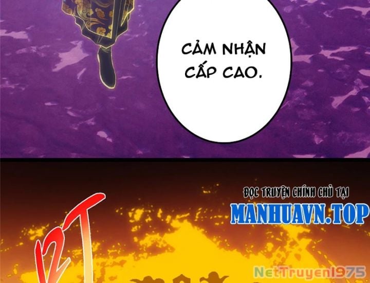 Chưởng Môn Khiêm Tốn Chút Chapter 499 - Trang 3