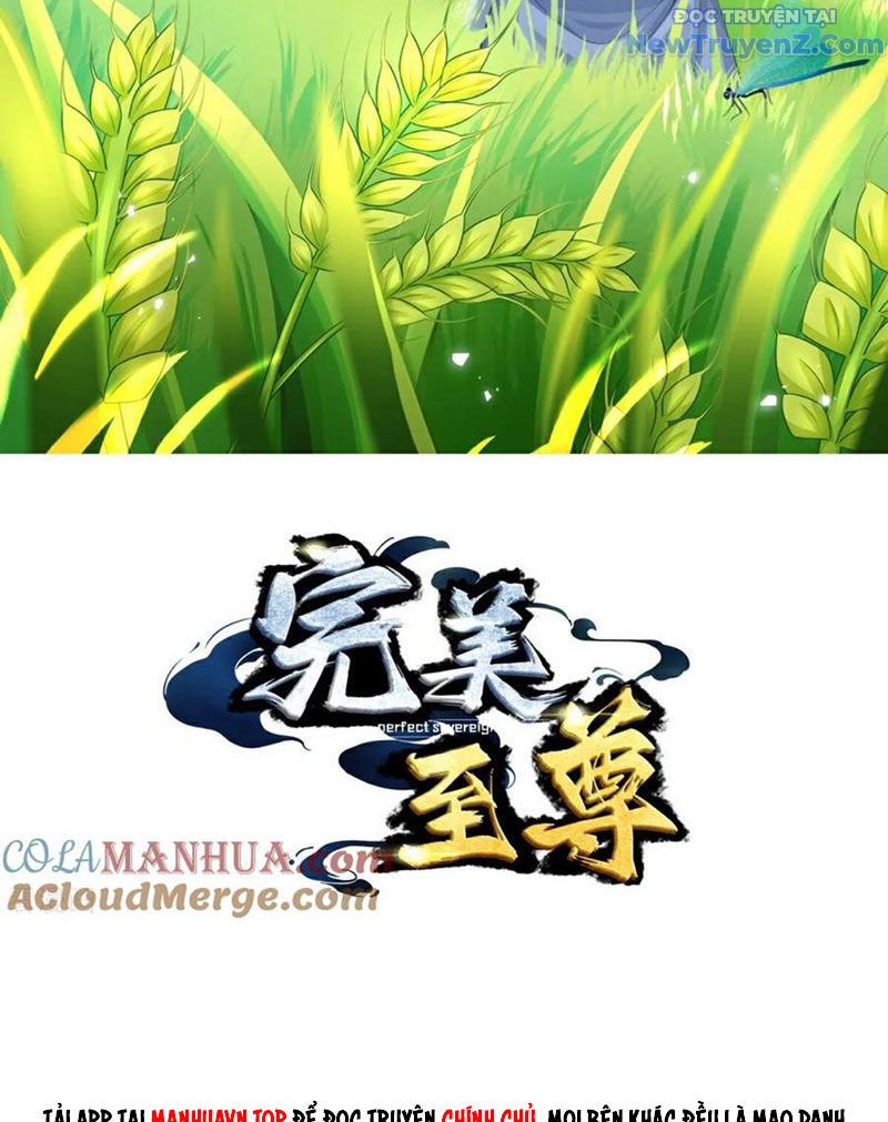 Chí Tôn Hoàn Mỹ chapter 80 - Trang 5