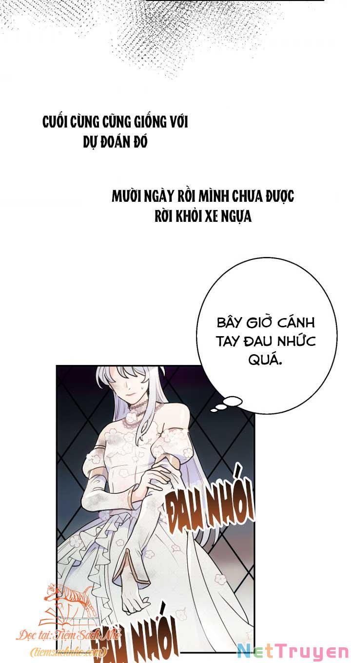 Tiền Là Tất Cả Chồng Là Phù Du Chapter 1 - Trang 60