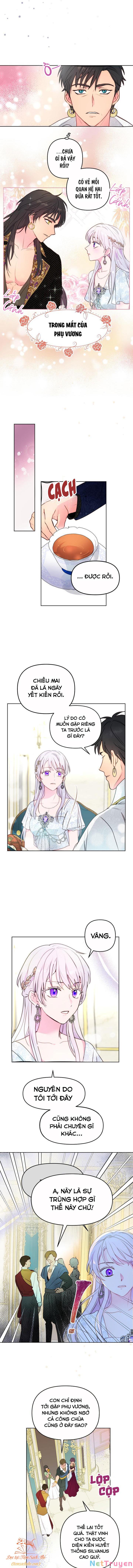 Tiền Là Tất Cả Chồng Là Phù Du Chapter 6 - Trang 9