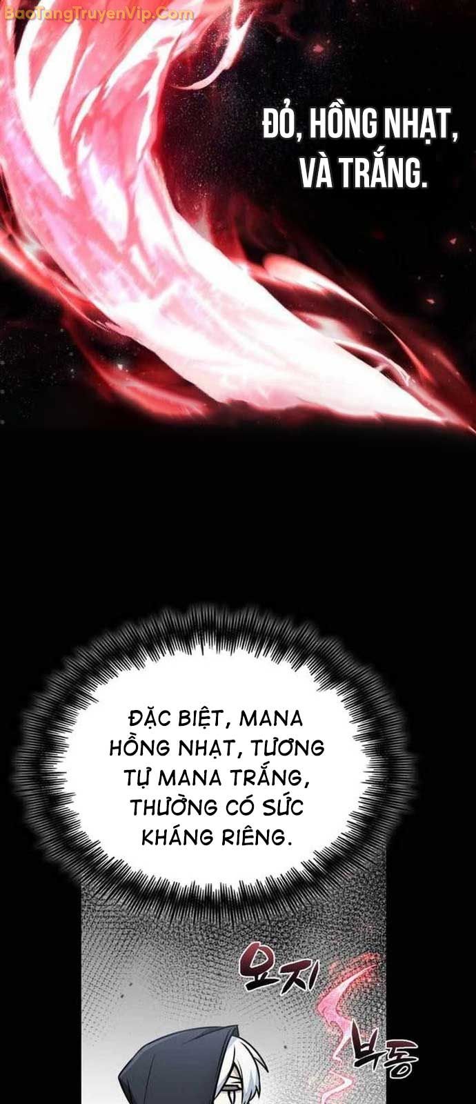 Đa Sắc Ma Pháp Sư Thiên Tài chapter 35 - Trang 49
