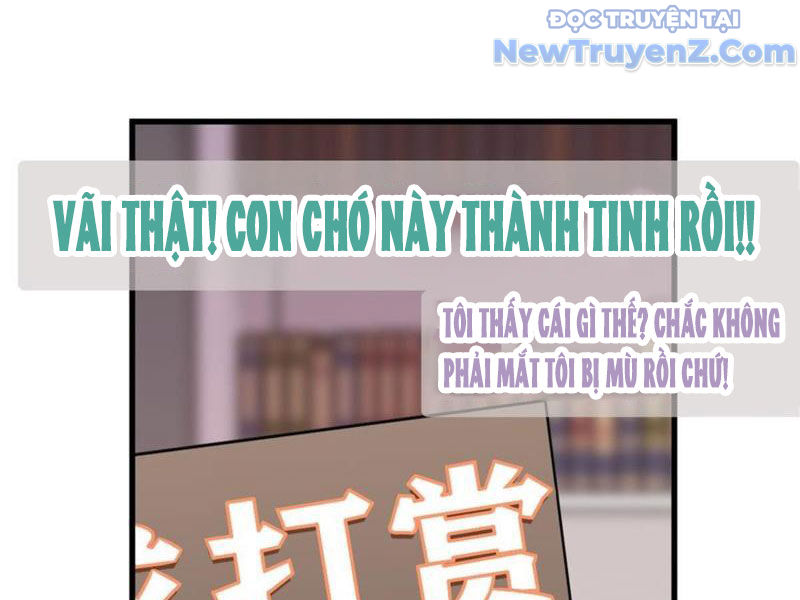 Kế Hoạch Bồi Dưỡng Nữ MC Của Cẩu Hoàng chapter 2 - Trang 20