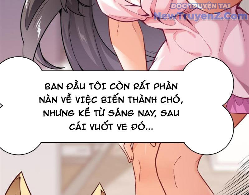 Kế Hoạch Bồi Dưỡng Nữ MC Của Cẩu Hoàng chapter 1 - Trang 57