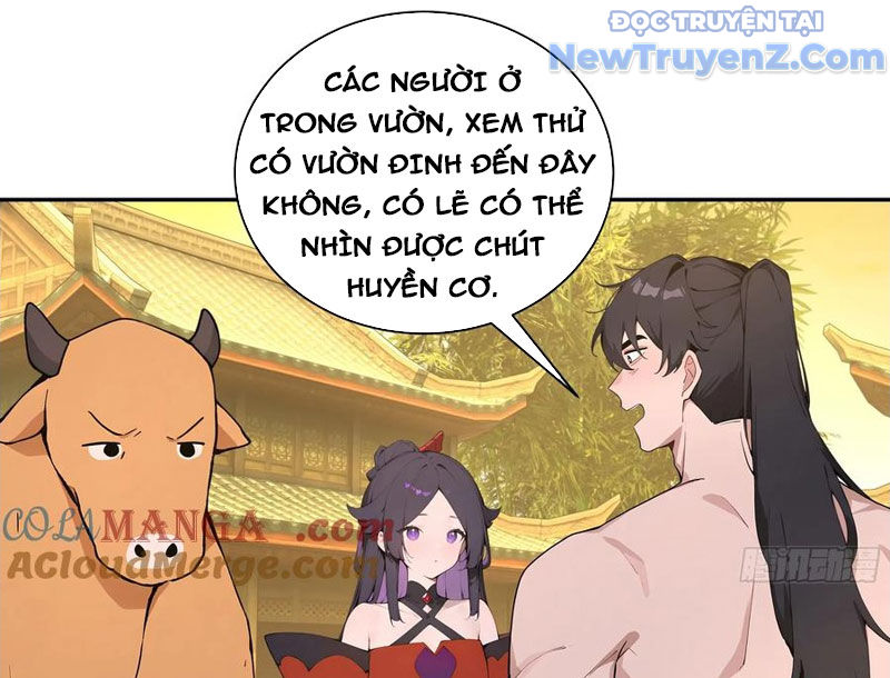 Bách Thê Phổ: Thánh nữ đều gọi ta là phu quân chapter 52 - Trang 110