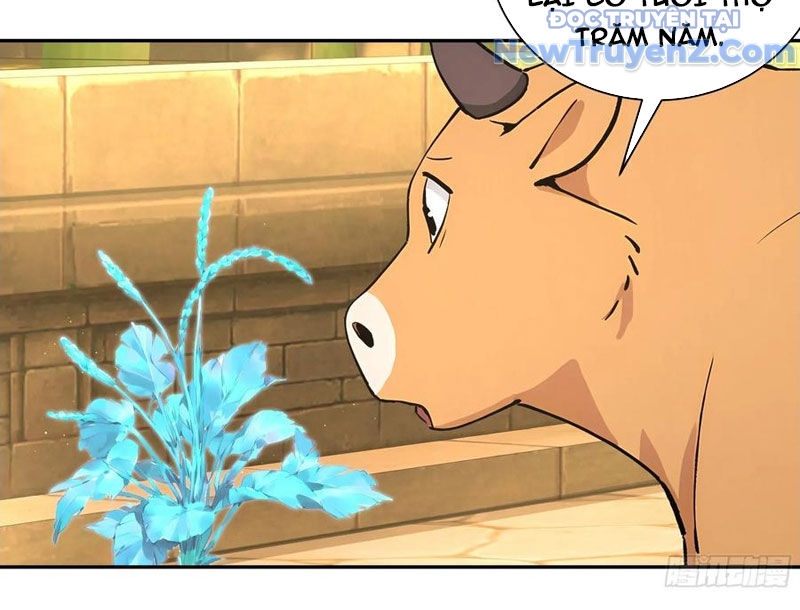 Bách Thê Phổ: Thánh nữ đều gọi ta là phu quân chapter 52 - Trang 79