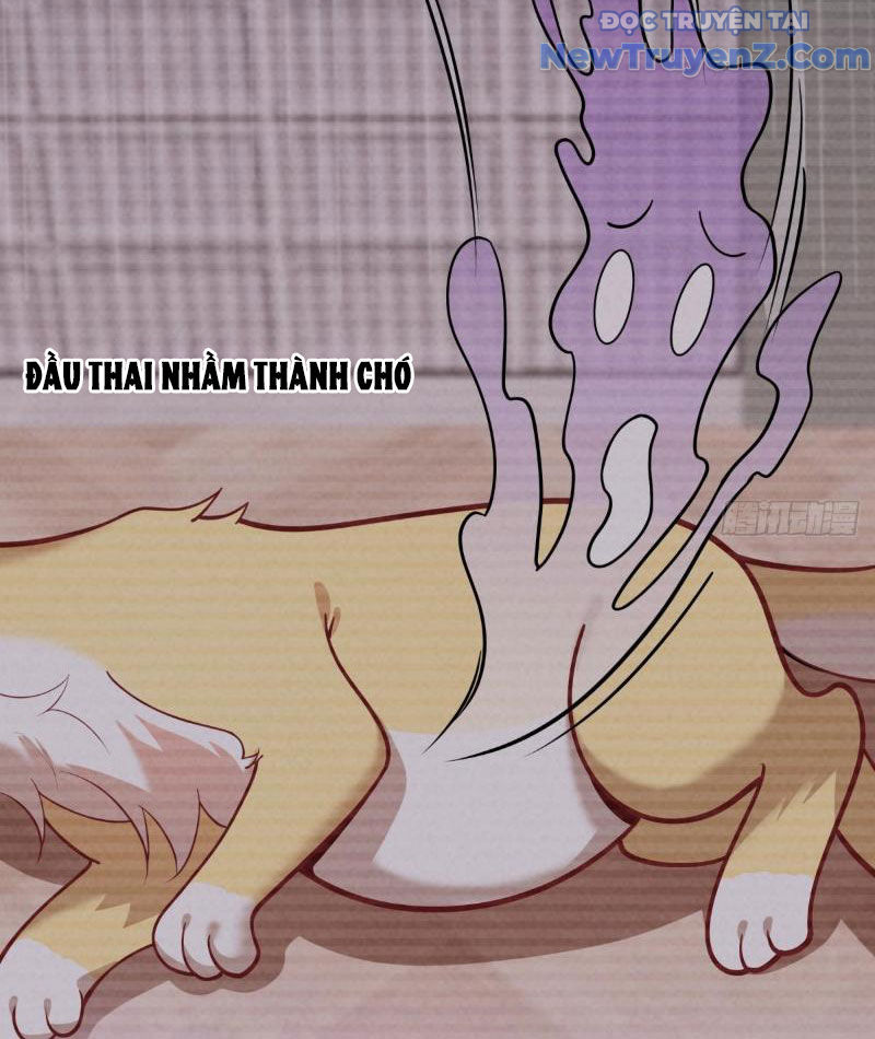 Kế Hoạch Bồi Dưỡng Nữ MC Của Cẩu Hoàng chapter 4 - Trang 81