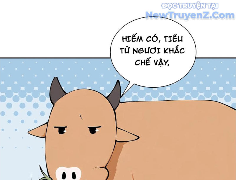 Bách Thê Phổ: Thánh nữ đều gọi ta là phu quân chapter 52 - Trang 12