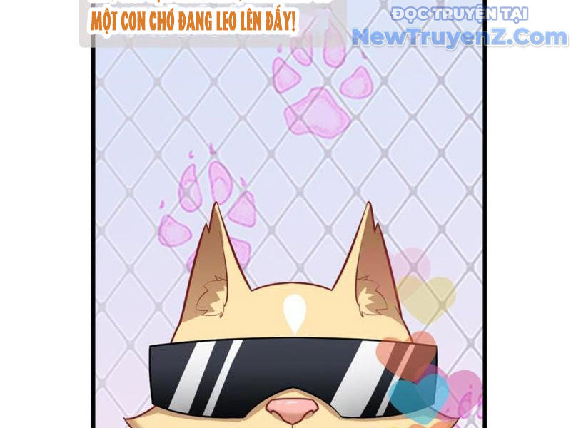 Kế Hoạch Bồi Dưỡng Nữ MC Của Cẩu Hoàng chapter 2 - Trang 18