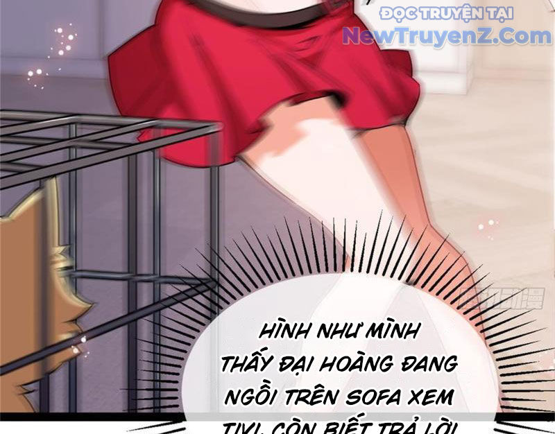 Kế Hoạch Bồi Dưỡng Nữ MC Của Cẩu Hoàng chapter 1 - Trang 111