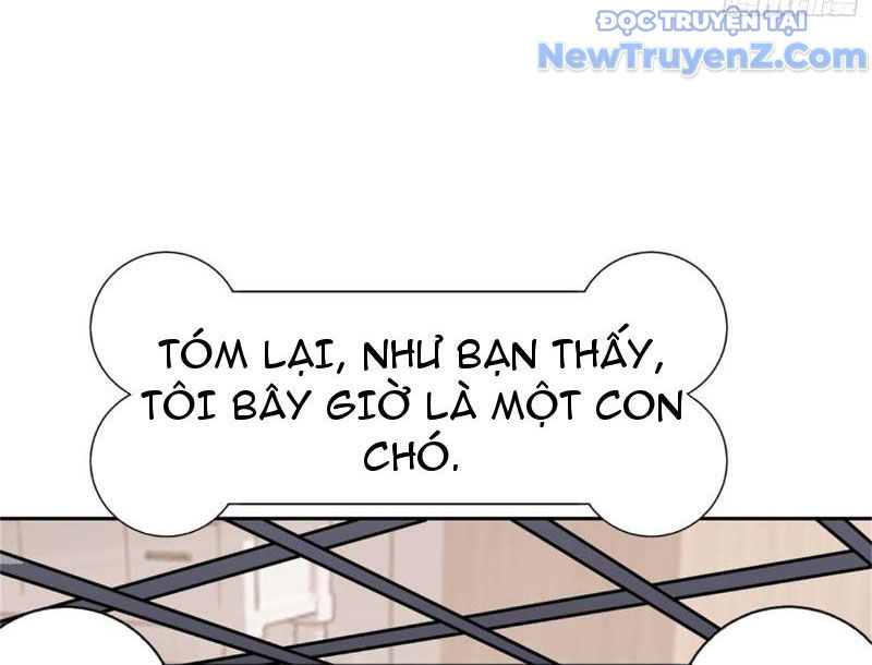 Kế Hoạch Bồi Dưỡng Nữ MC Của Cẩu Hoàng chapter 3 - Trang 9