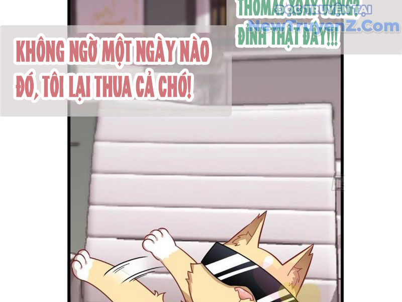 Kế Hoạch Bồi Dưỡng Nữ MC Của Cẩu Hoàng chapter 2 - Trang 23