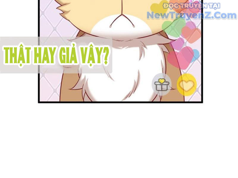 Kế Hoạch Bồi Dưỡng Nữ MC Của Cẩu Hoàng chapter 2 - Trang 19