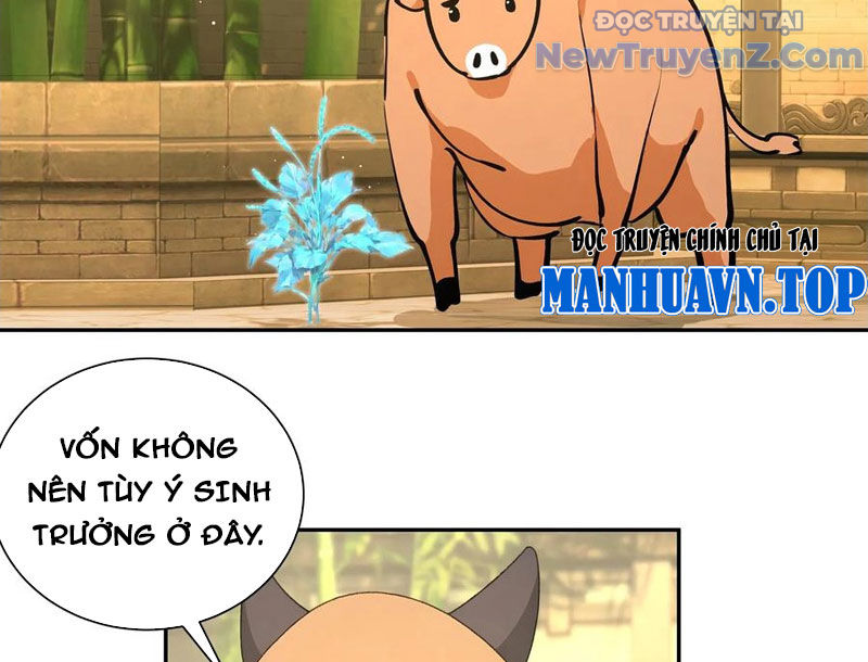 Bách Thê Phổ: Thánh nữ đều gọi ta là phu quân chapter 52 - Trang 77
