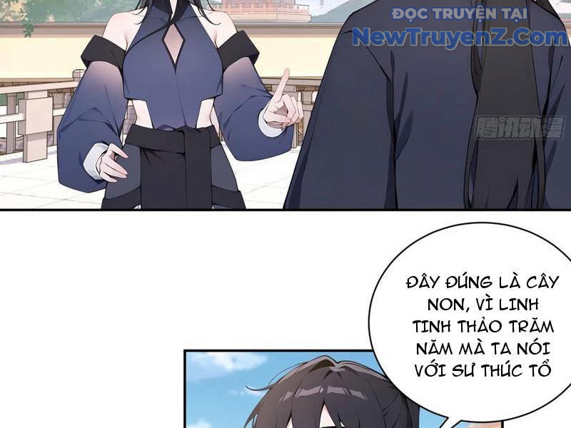 Bách Thê Phổ: Thánh nữ đều gọi ta là phu quân chapter 55 - Trang 24