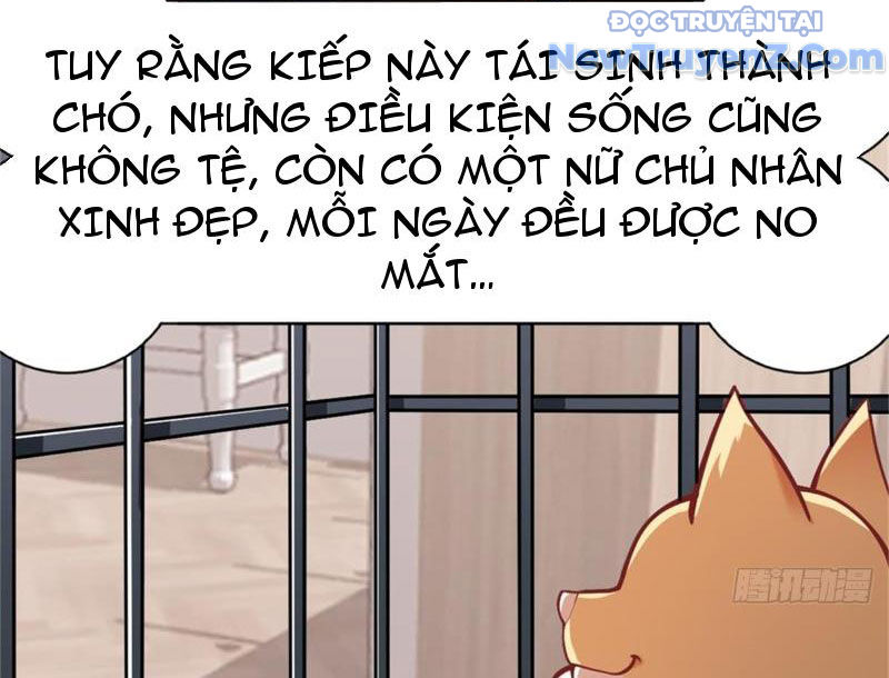 Kế Hoạch Bồi Dưỡng Nữ MC Của Cẩu Hoàng chapter 3 - Trang 10