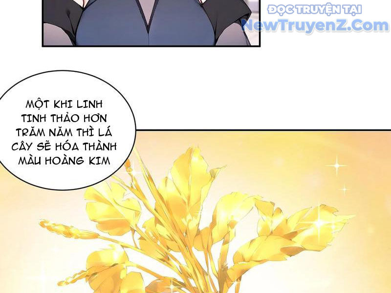 Bách Thê Phổ: Thánh nữ đều gọi ta là phu quân chapter 55 - Trang 17