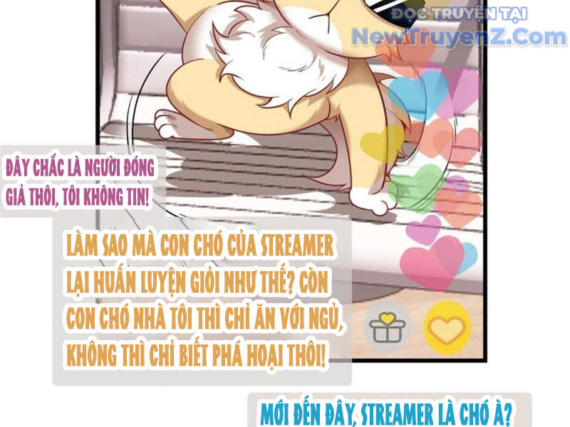 Kế Hoạch Bồi Dưỡng Nữ MC Của Cẩu Hoàng chapter 2 - Trang 24