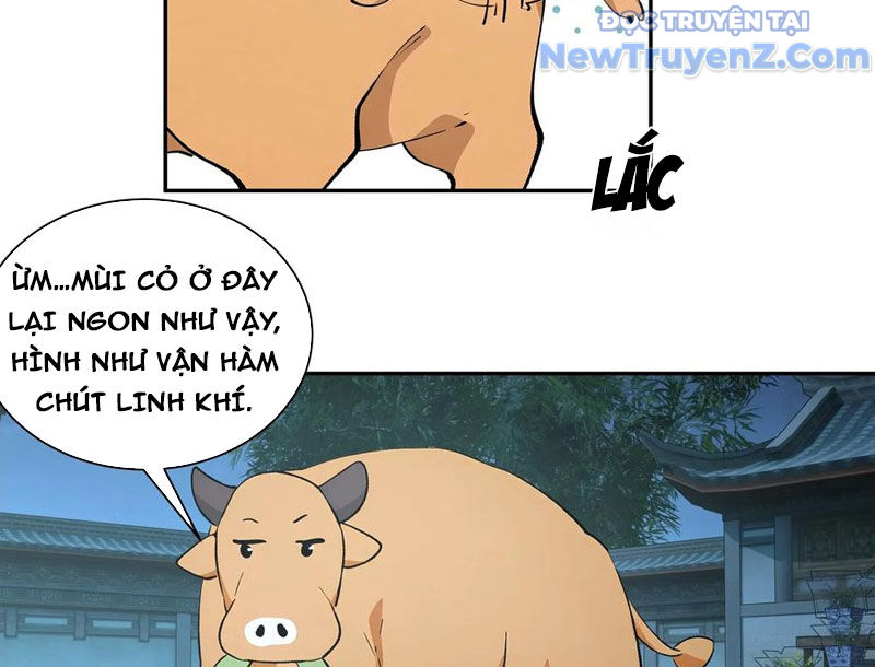 Bách Thê Phổ: Thánh nữ đều gọi ta là phu quân chapter 52 - Trang 21