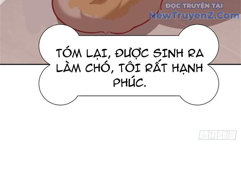 Kế Hoạch Bồi Dưỡng Nữ MC Của Cẩu Hoàng chapter 3 - Trang 12