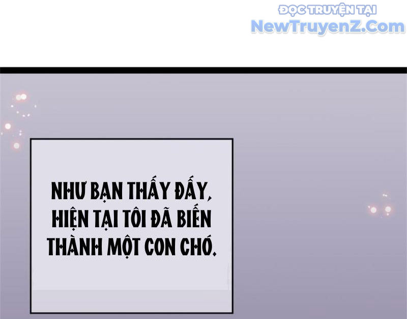 Kế Hoạch Bồi Dưỡng Nữ MC Của Cẩu Hoàng chapter 1 - Trang 52
