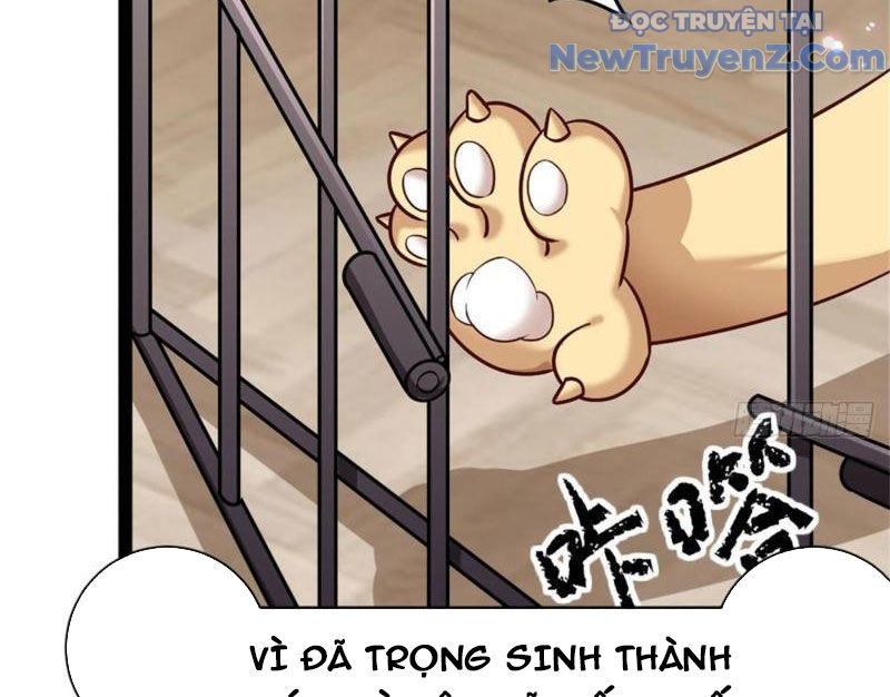 Kế Hoạch Bồi Dưỡng Nữ MC Của Cẩu Hoàng chapter 1 - Trang 60