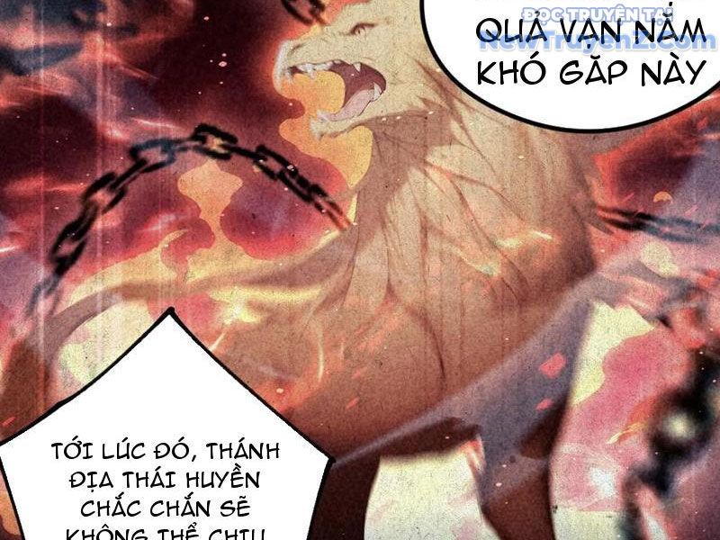 Hoá Ra Ta Đã Vô Địch Từ Lâu chapter 293 - Trang 23